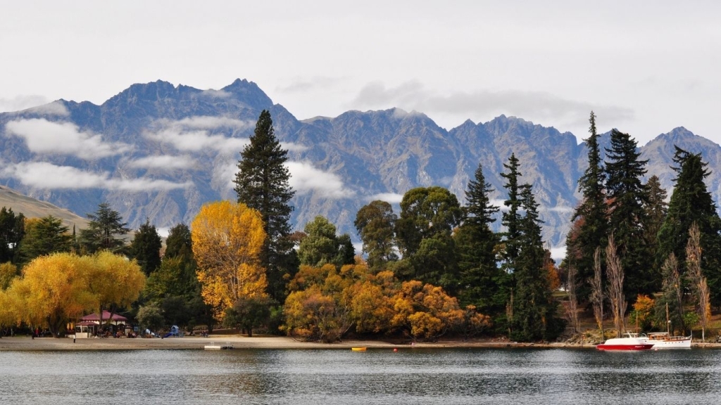 mountain view for property for sale in new zealand