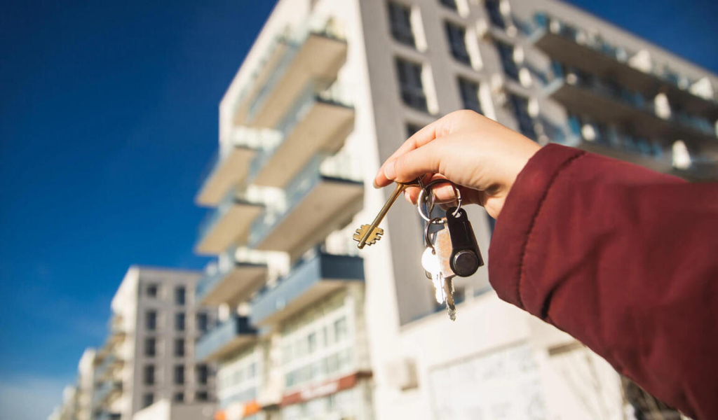 advantages of international real estate portals