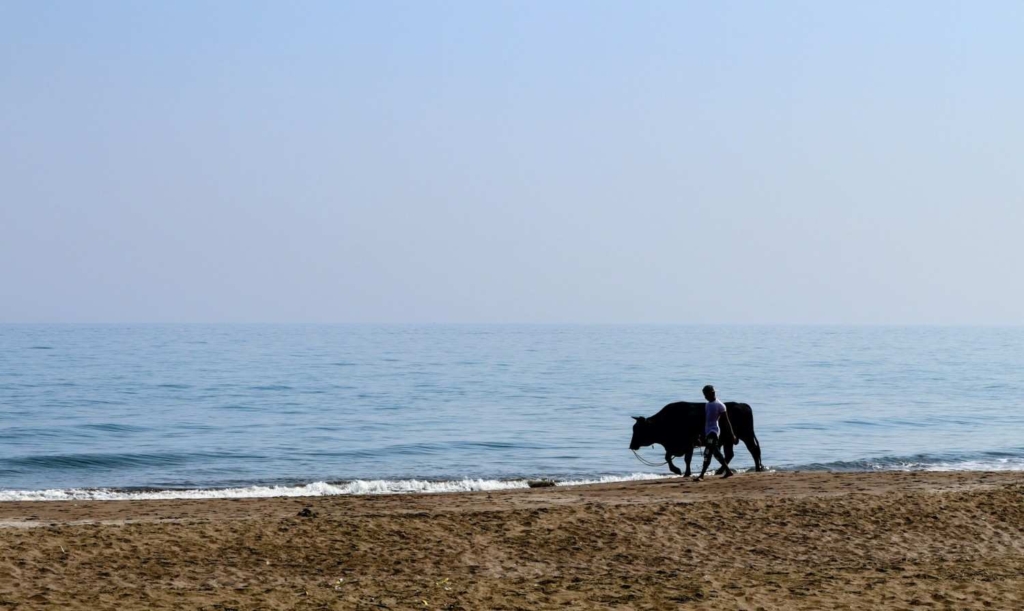 beach in sohar, one of the popular cities in oman for property buyers
