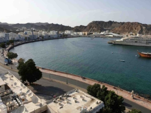 types of properties for sale in oman