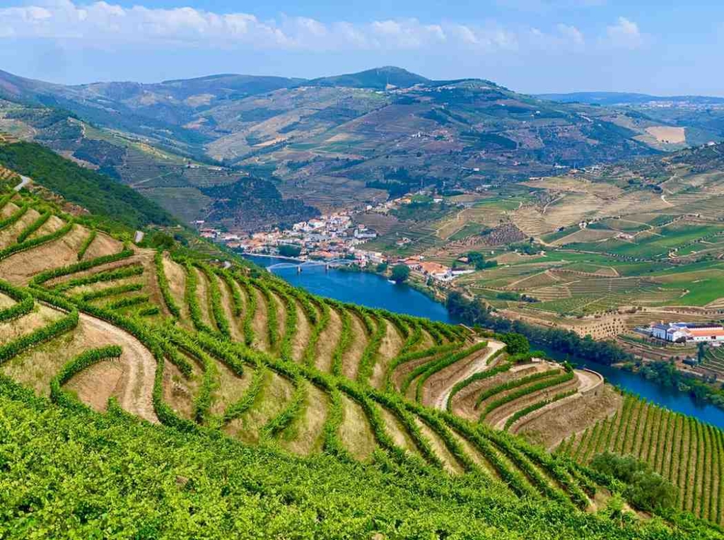 douro valley vineyards in portugal, reflecting the scenic benefits of buying property in portugal.